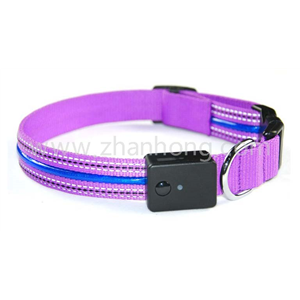 LED Collar 130001