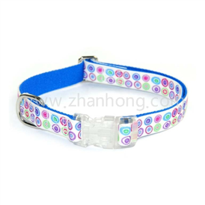 Dog Collar 019